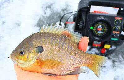 Best Ice Fishing Fish Finder