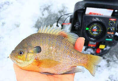 Best Ice Fishing Fish Finders