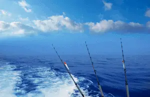 Deep Sea Fishing