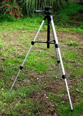 Best Hunting Tripods