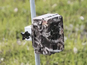 Best Trail Camera Tips