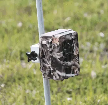 Best Trail Camera Tips