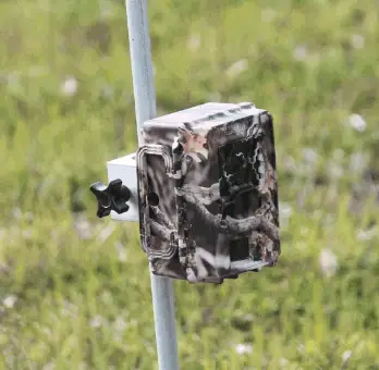 25 Best Trail Camera Tips