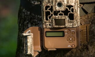 Best Trail Cameras