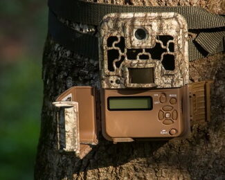 Best Trail Cameras