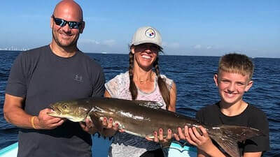 Cobia Fishing