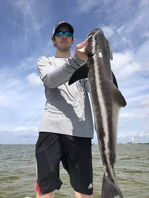 Cobia Fishing Hacks