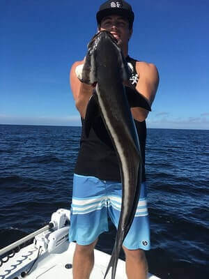 Cobia Fishing Ideas