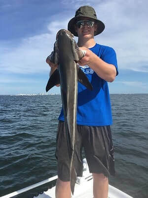 Cobia Fishing Tips