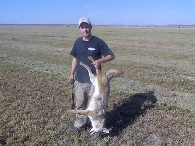 Coyotes Hunting Ideas