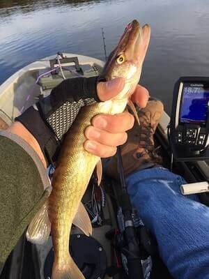 Fishing Chain Pickerel Hacks