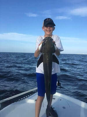 Fishing Cobia Tips