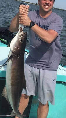 Fishing Cobia