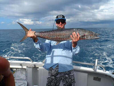 Fishing For Mackerel