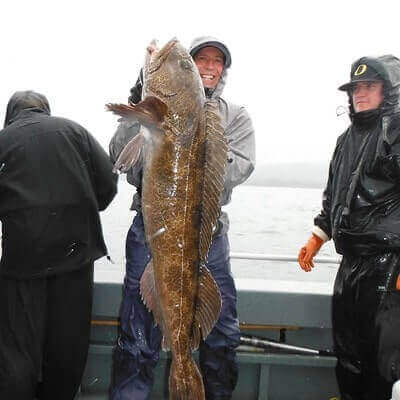 Fishing Lingcod