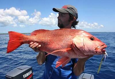 Fishing Red Snapper Tricks