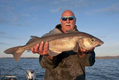 Haddock Fishing Tricks