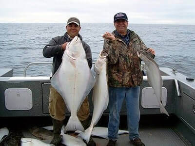 Halibut Fishing Tricks