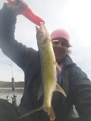 How To Catch Chain Pickerel