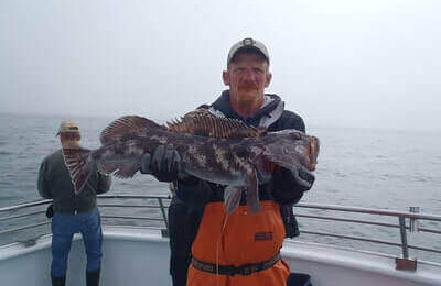 How To Catch Lingcod