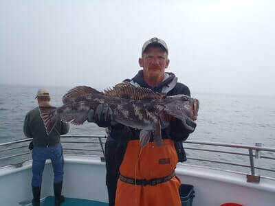 How To Catch Lingcod