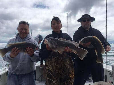 How To Catch Tautog