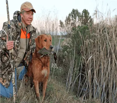 How To Train Your Hunting Dog