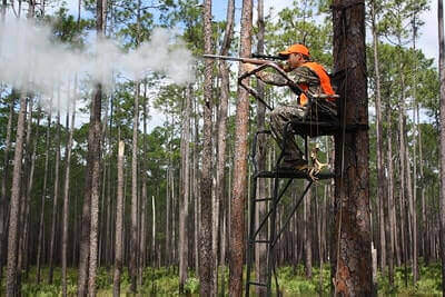 Hunting Tree Stands