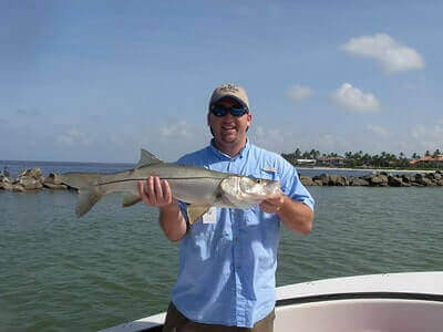 Ideas For Snook Fishing