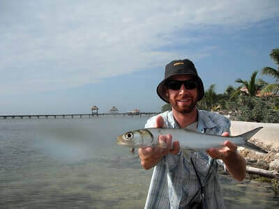 Ladyfish Fishing For Beginners