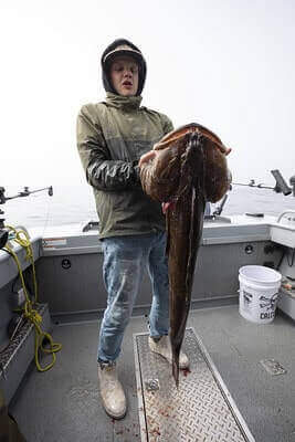 Lingcod Fishing Tricks