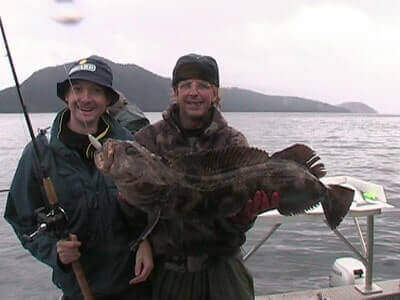 Lingcod Fishing