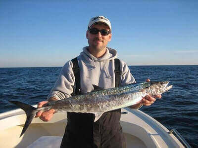 Mackerel Fishing