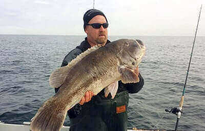 Tautog Fishing Tips