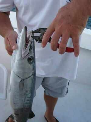 Tips For Barracuda Fishing