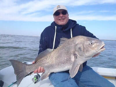 Tips For Black Drum Fishing