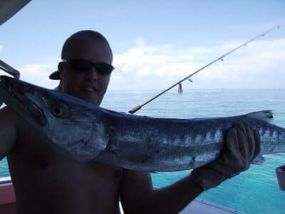 Tips For Fishing Barracuda