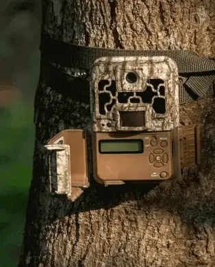 Trail Camera Tips