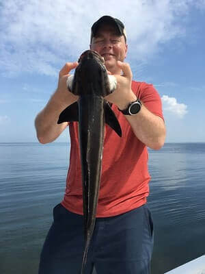 Tricks For Cobia Fishing