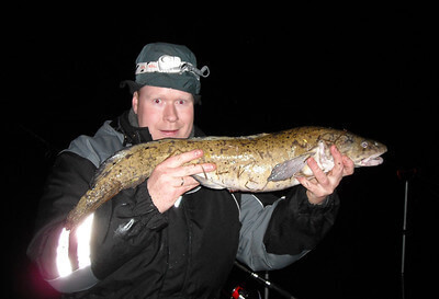 Burbot Fishing Tips