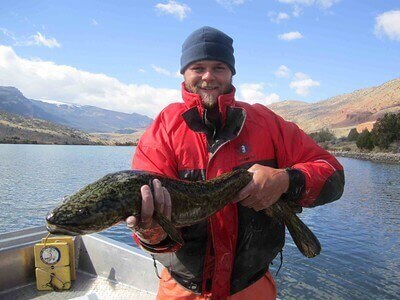 Catching Burbot