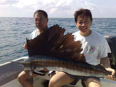 Catching Sailfish Tips