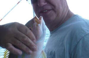 How To Catch Yellowtail Snapper