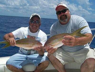 Ideas For Yellowtail Snapper Fishing