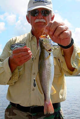 Sand Seatrout Fishing Tips
