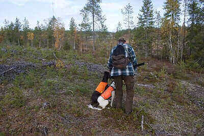 Small Game Hunting