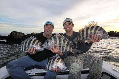 Spadefish Fishing Tricks