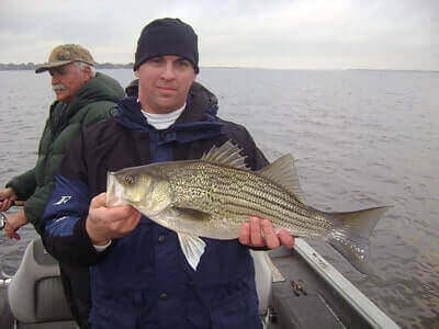 Tips For Fishing White Bass