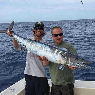 Tips To Catch Sailfish