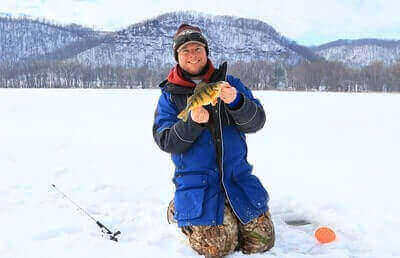 Yellow Perch Fishing Ideas